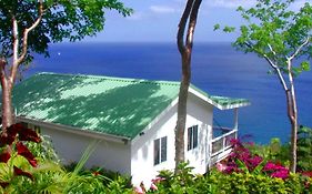 Nature's Paradise 3*