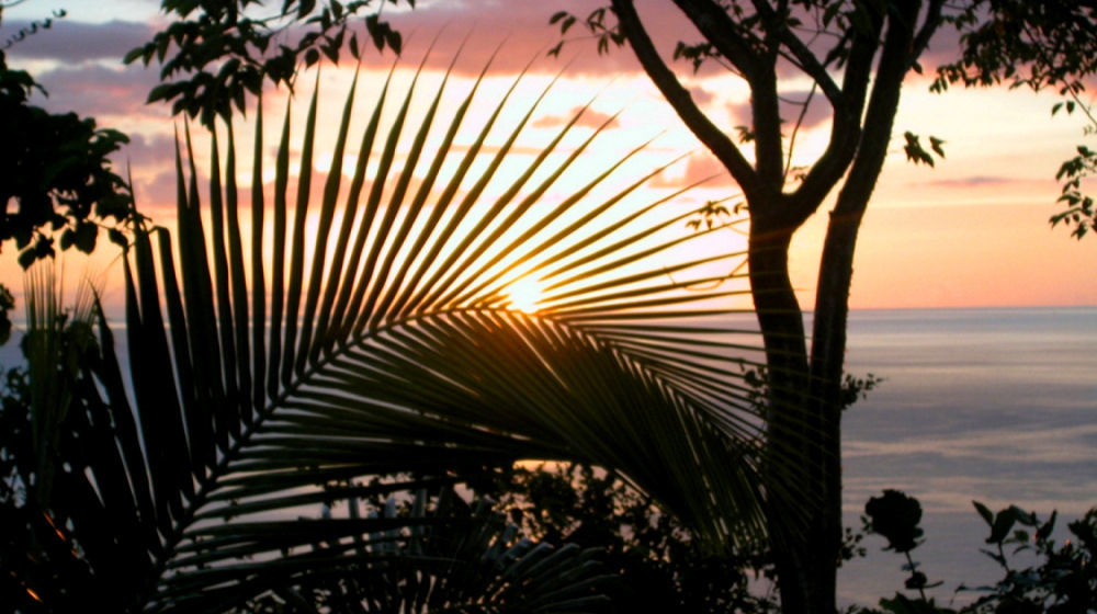 Nature'S Paradise At Marigot Bay Exterior photo