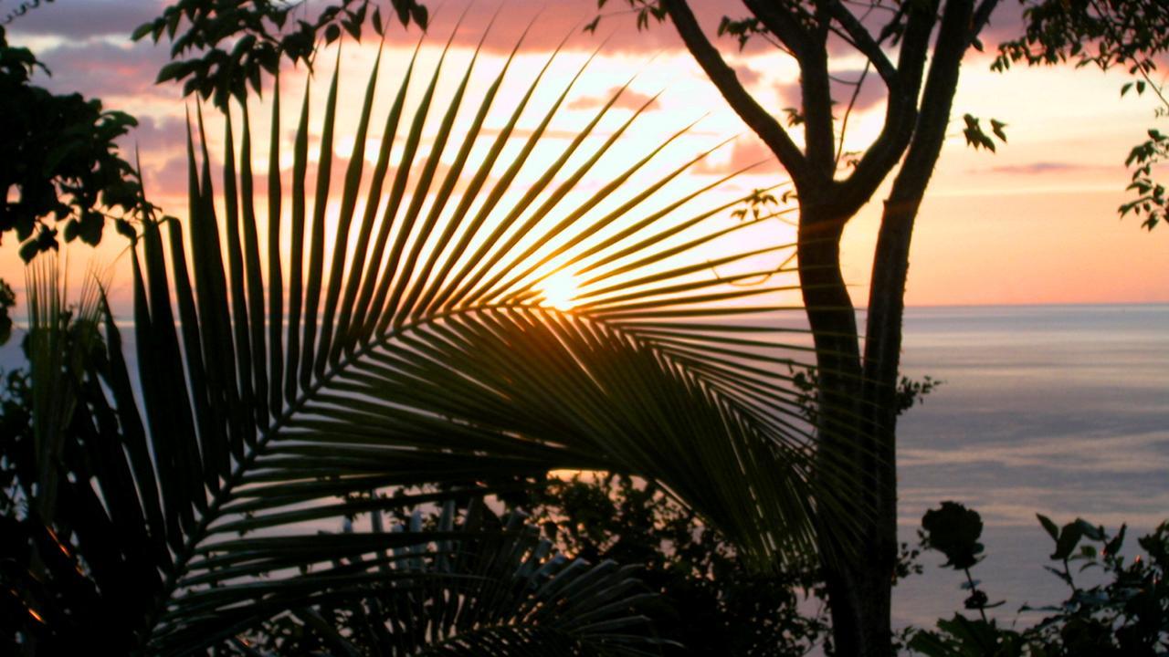 Nature'S Paradise At Marigot Bay Exterior photo