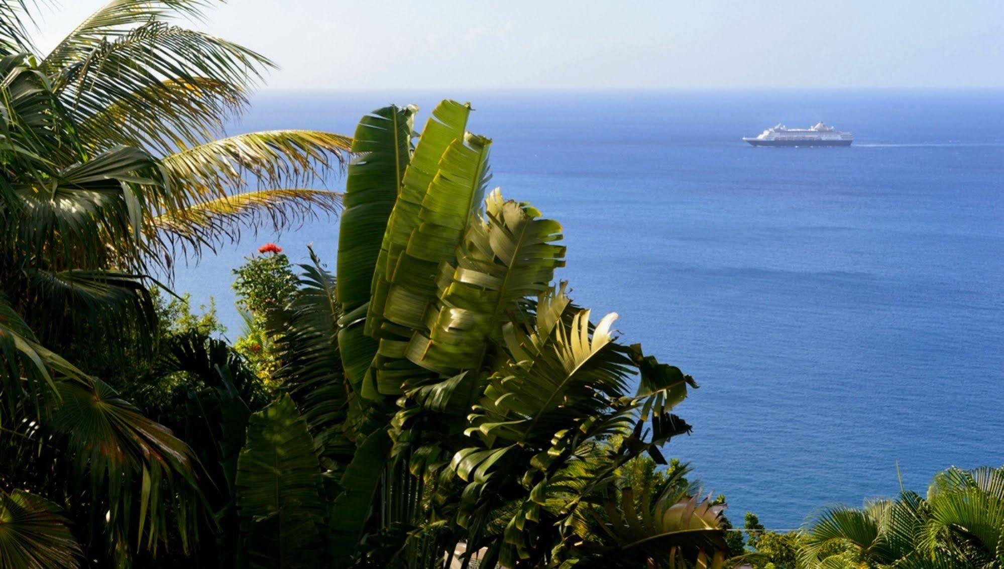Nature'S Paradise At Marigot Bay Exterior photo