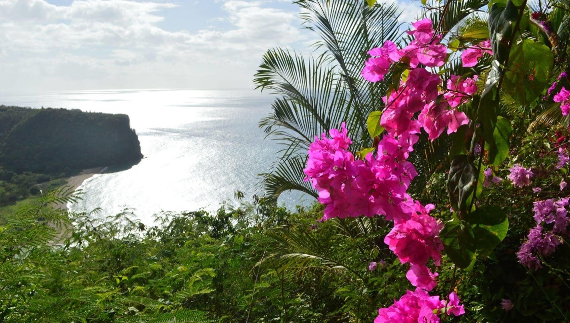 Nature'S Paradise At Marigot Bay Exterior photo