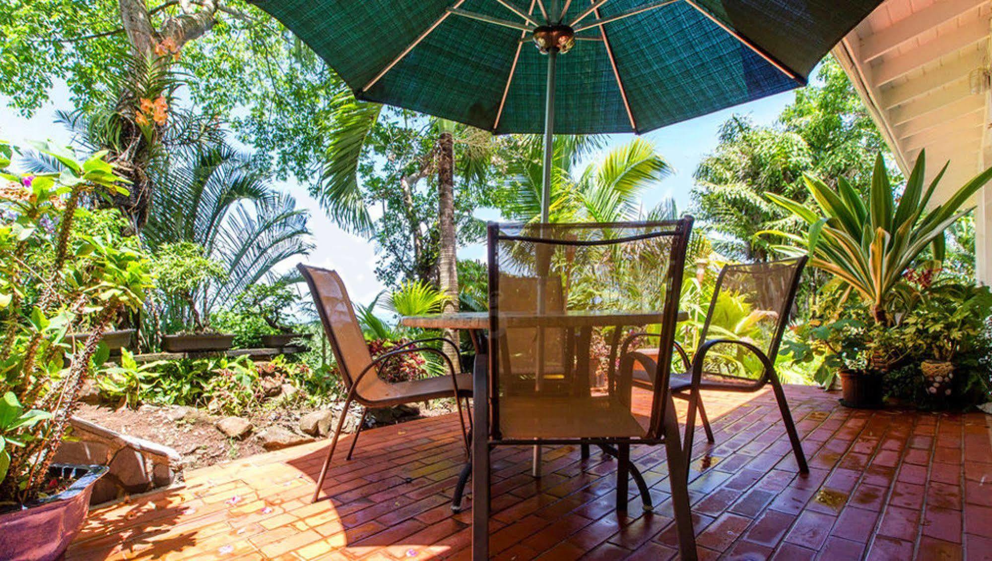 Nature'S Paradise At Marigot Bay Exterior photo